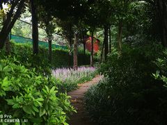 -汾阳花园酒店·餐厅(徐汇店)