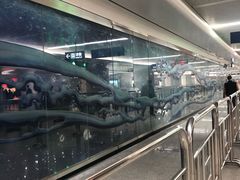 -螃蟹岬(地铁站)