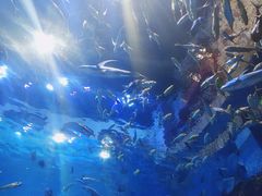 -华夏文旅海洋公园