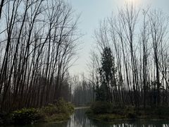 -桤木河湿地公园