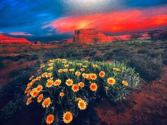 -罗红摄影艺术馆