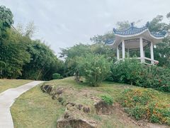 -厦门悦华酒店