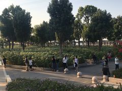 -仙岳公园