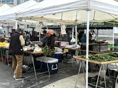 -旧金山市政厅