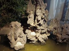 -不倒翁·徽天下名菜楼(马鞍山路店)