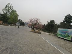 -秦岭欢乐世界