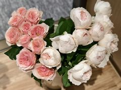 -循礼门鲜花花市(武汉循礼门店)