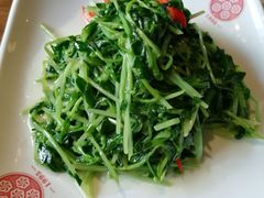 凉拌豆苗-老班长手工灌汤包老店(东山店)