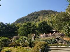 -英德宝晶宫天鹅湖茶语温泉