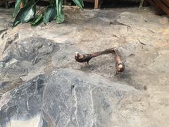 -中国第四纪冰川遗迹陈列馆