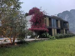 -明仕田园
