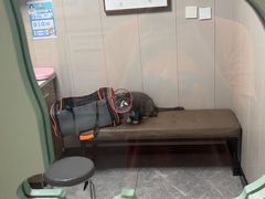 -半岛宠物医院24小时·内窥镜·牙科·碎石中心(府城大道店)