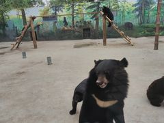 -西安秦岭野生动物园