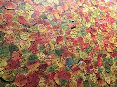 -东方体育中心(地铁站)