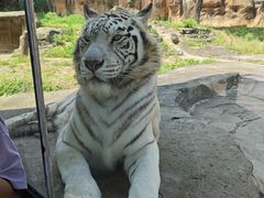 -杭州野生动物世界