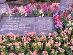 -广州市白云山风景名胜区