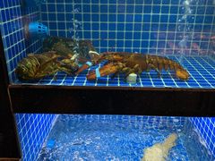 水产区-徽三说·土徽菜·中国徽菜连锁品牌(一中店)