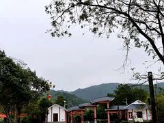 -九龙江国家森林公园