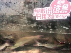 -鱼酷活鱼烤鱼(梅江印象城店)