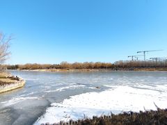 -大兴滨河森林公园