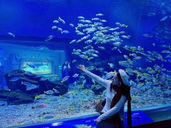 -海合安武汉极地海洋公园