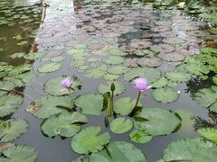 -四海公园(南山区)