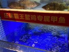 -王捌小院(红花坡店)