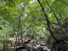 -本溪汤沟绿石谷森林公园