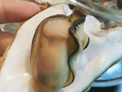 -鲜小岛·铜锅涮肉