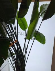 -春田皮肤管理中心品牌旗舰店