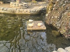 -林间山庄