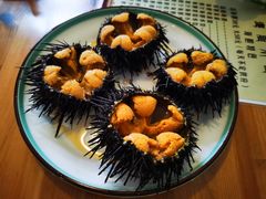 -海胆小馆(东北水饺·春柳店)