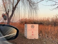 -池杉湖湿地公园