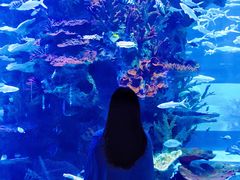 -多彩贵州城极地海洋世界