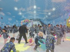 -世界之窗阿尔卑斯冰雪世界