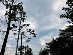 -艾薯夫妇Aysh(福田星河COCOPark店)