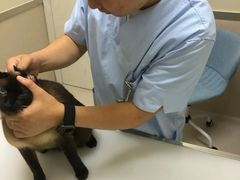 -爱妮康宠物医院·干细胞免疫细胞·肿瘤·心脏(张江店)