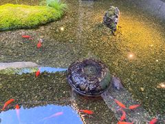 -几荷·恰似故人来(秀水广场店)