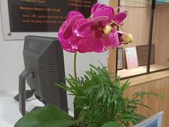 -锦江富园大酒店-游泳馆