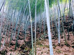 -南尖岩景区