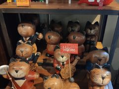 -猫咪博物馆(顶澳仔猫街店)