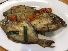 -长平老姿娘夜粥(平东一街店)