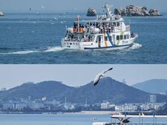-大连老虎滩海洋公园