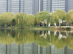 -杭州城北体育公园