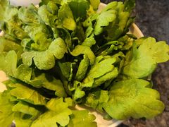 -百草滩羊清水涮羊肉·清真·宁夏盐池滩羊(莲花桥店)