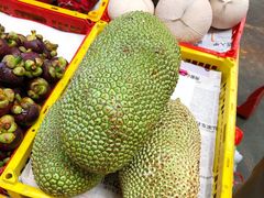 -三亚新鸿港水果一级批发市场