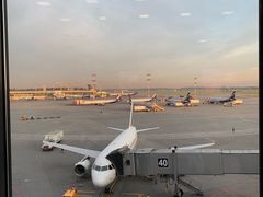 -谢列梅捷沃国际机场