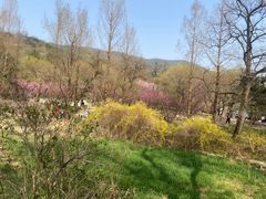 -国家植物园南园