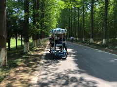 -黄海国家森林公园