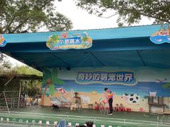 -光明农场大观园